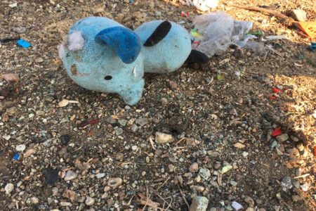 روایتی تلخ از نخستین لحظات سقوط هواپیمای اوکراینی