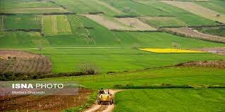 سرپرست جهادکشاورزی کرمانشاه: رتبه اول کشت قراردادی را در کشور داریم