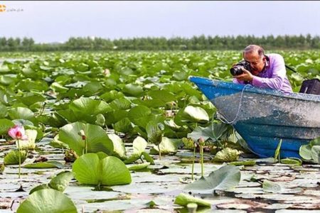 شگفتی گردشگران نوروزی از زیبایی‌ سراب نیلوفر کرمانشاه