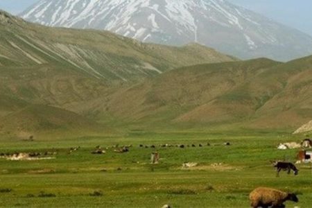 دستگاه‌های کم‌کار در اجرای طرح کاداستر معرفی می‌شوند