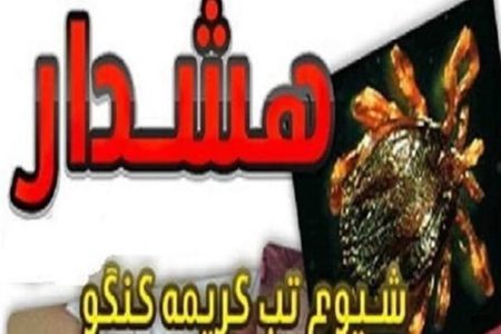 یک مسئول: گوشت را از مراکز معتبر خریداری کنید