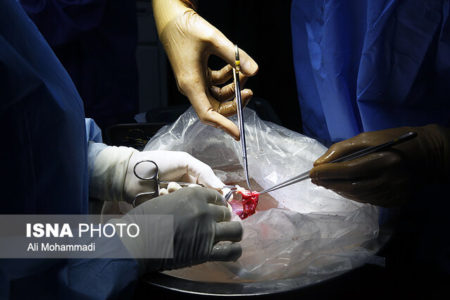 امسال، هیچ!