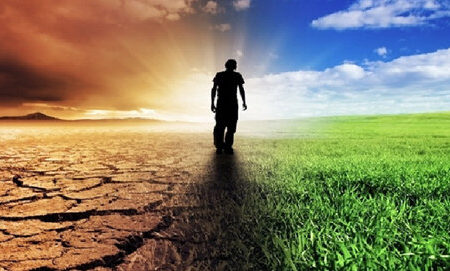 تاثیر سوء ریزگردها بر کشاورزی