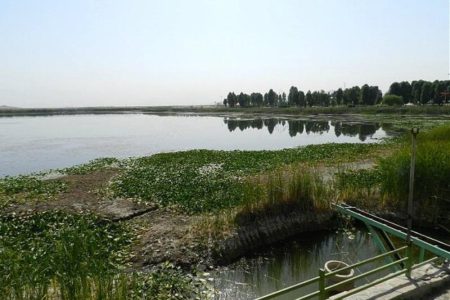 اوضاع بحرانی “سراب نیلوفر” کرمانشاه