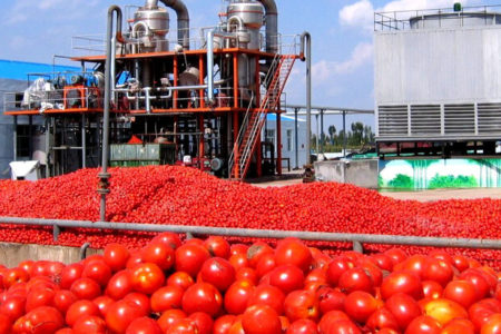 کرمانشاه صاحب “میز رب گوجه” شد