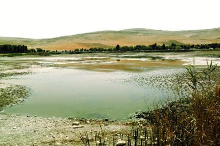 تکمیل سایت پرنده‌نگری هشیلان ۱۰ میلیارد اعتبار نیاز دارد