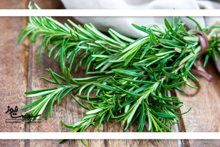 آیا رزماری واقعاً جای زخم را از بین می‌برد؟