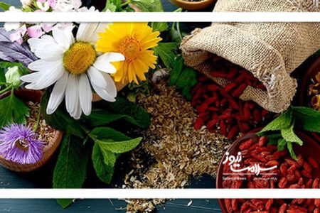 گیاهان دارویی و طب ایرانی؛ راهکارهایی نو برای درمان ناباروری و اصلاح سبک زندگی